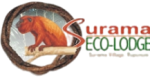 [removal.ai]_dadfabac-25b6-4e50-9413-d49f0761f72d-2015logo240x120